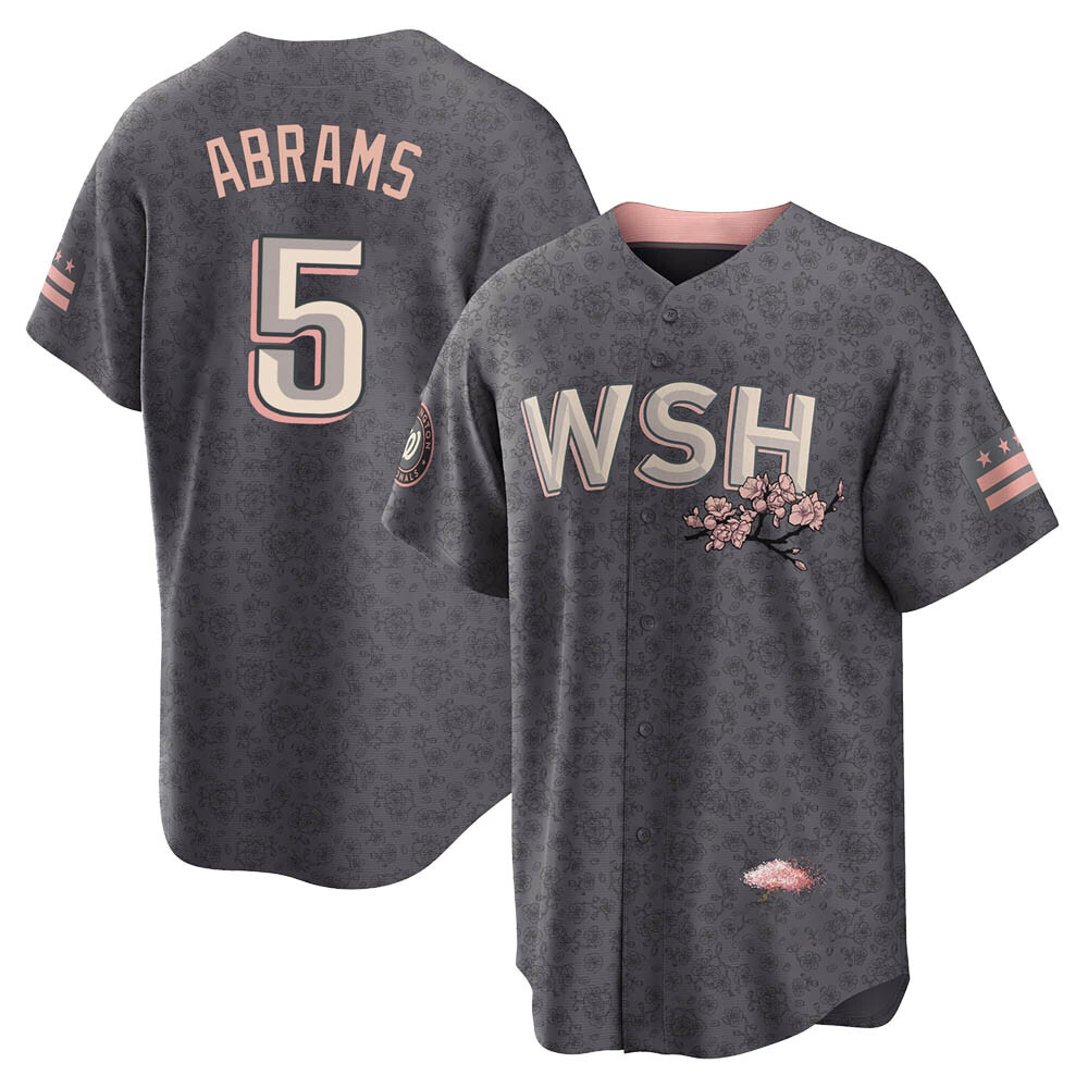 Replica CJ Abrams Youth Washington Nationals Gray 2022 City Connect Jersey Replica CJ Abrams Youth Washington Nationals Gray 2022 City Connect Jersey