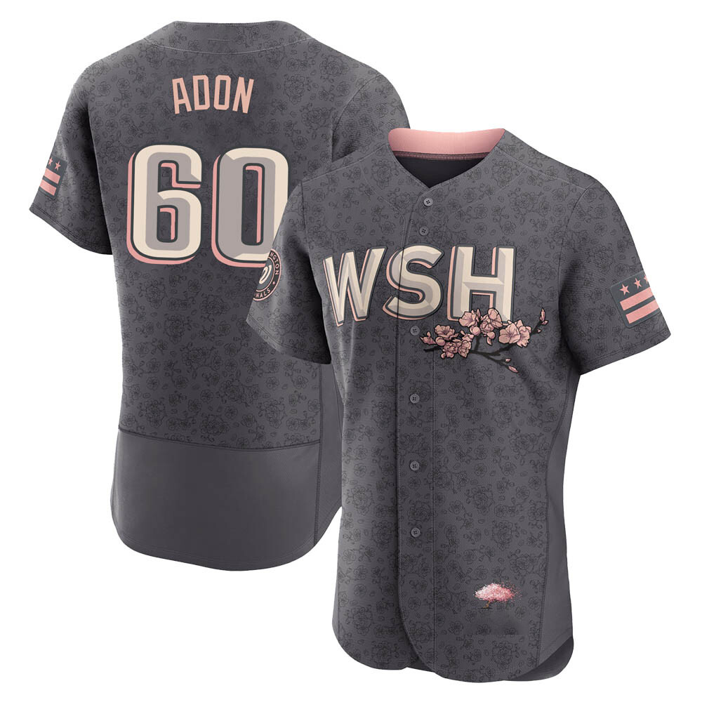 Authentic Joan Adon Men's Washington Nationals Gray 2022 City Connect Jersey Authentic Joan Adon Men's Washington Nationals Gray 2022 City Connect Jersey