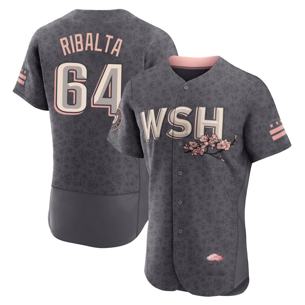Authentic Orlando Ribalta Men's Washington Nationals Gray 2022 City Connect Jersey Authentic Orlando Ribalta Men's Washington Nationals Gray 2022 City Connect Jersey