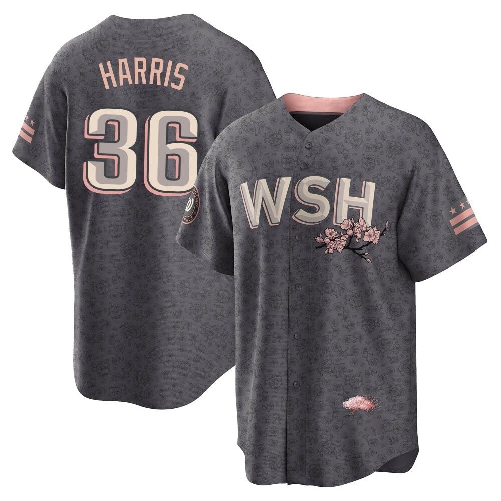 Replica Will Harris Youth Washington Nationals Gray 2022 City Connect Jersey Replica Will Harris Youth Washington Nationals Gray 2022 City Connect Jersey